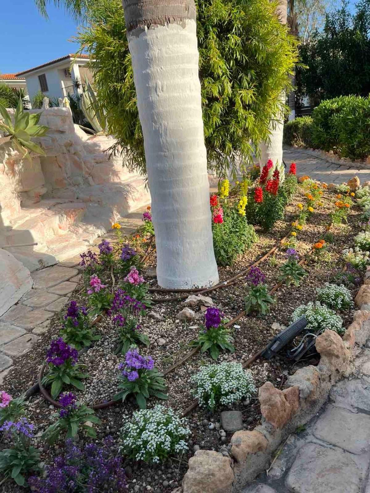 De Michanna וילה Anarita