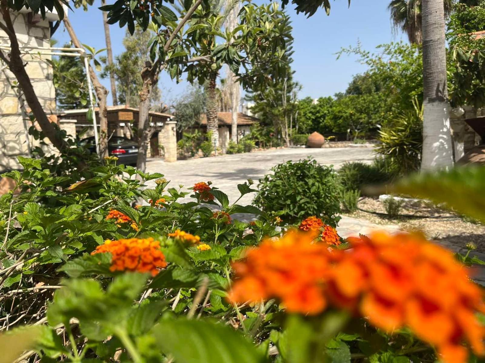 וילה De Michanna Anarita